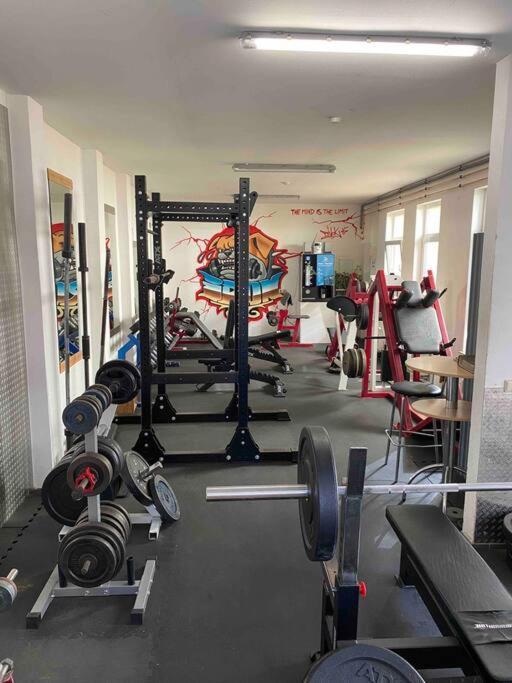 Ferienwohnung Mit Fitnessstudio Top1 Plauen Exterior photo